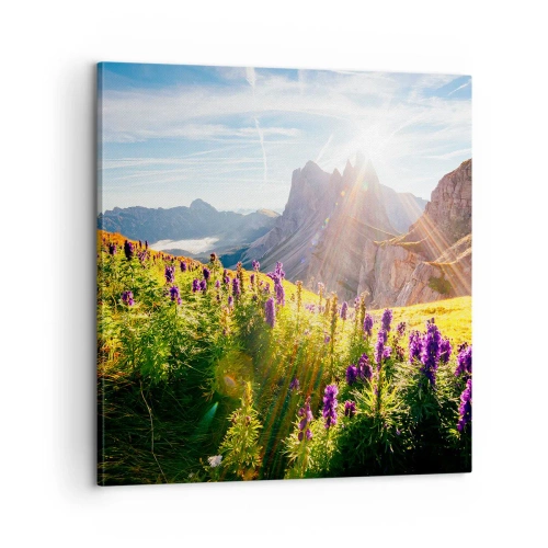 Tablou pe pânză - Viața secretă a ierburilor - 60x60 cm