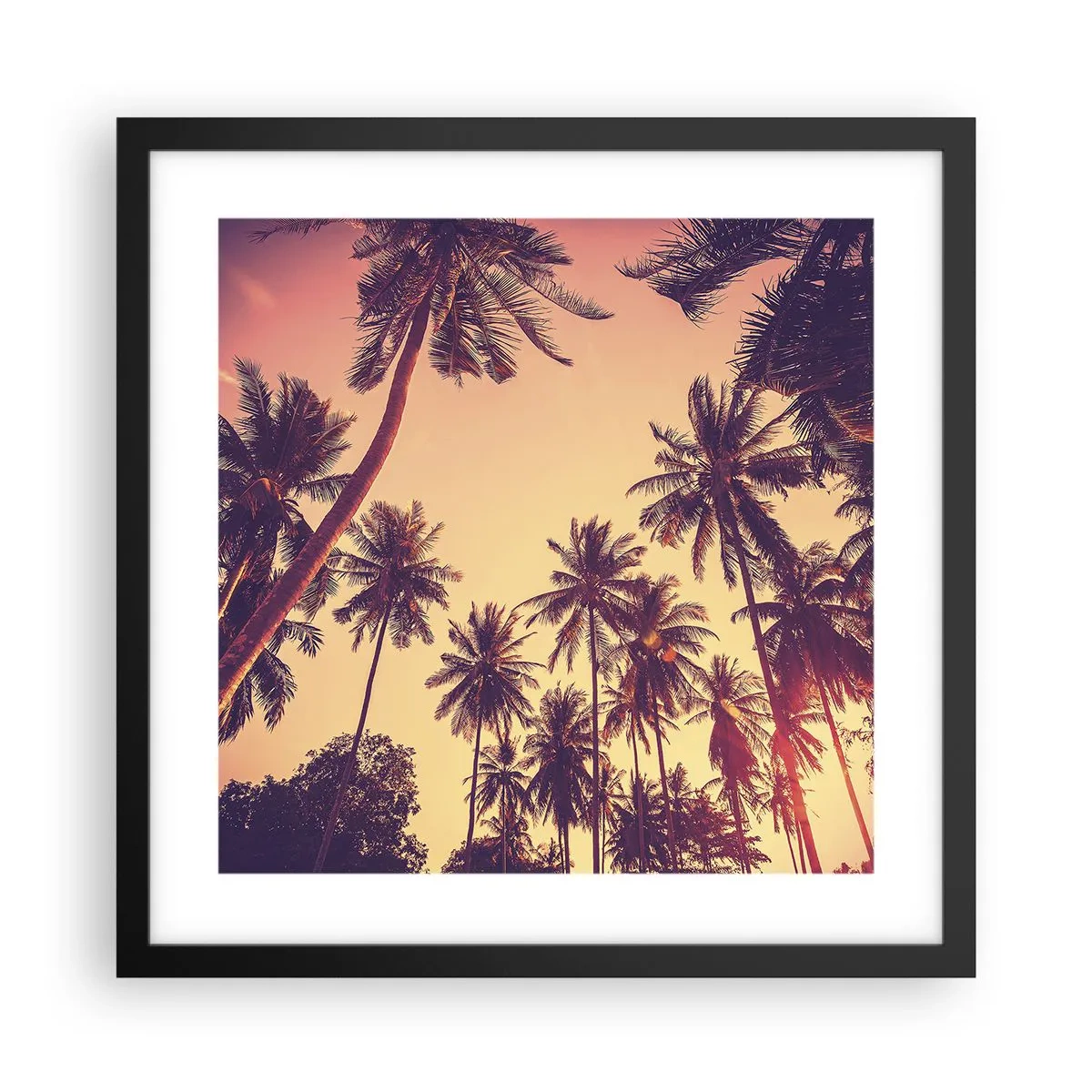 Poster în ramă neagră - Variație tropicală - 40x40 cm