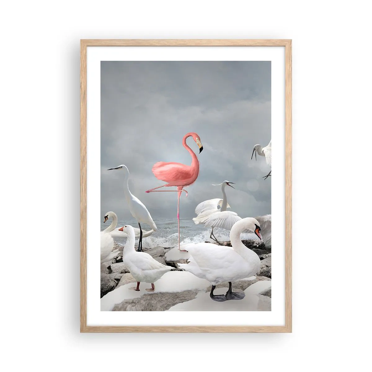 Poster în ramă de stejar deschis - De unde am venit? - 50x70 cm