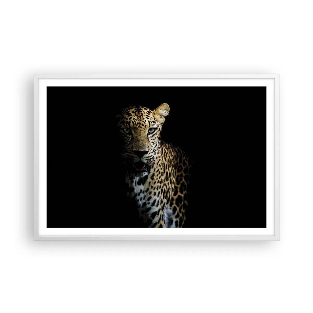 Poster în ramă albă - Frumusețe întunecată - 91x61 cm