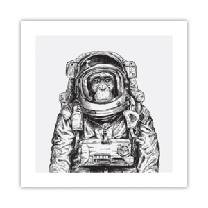 Poster - Evoluție alternativă - 40x40 cm