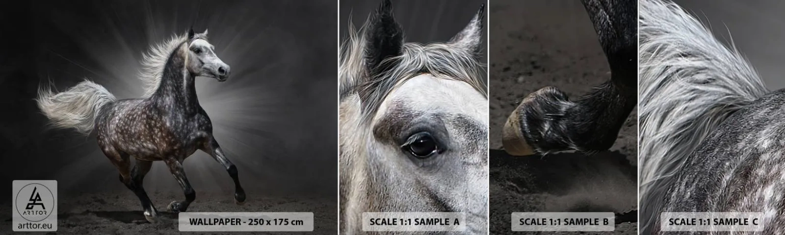 Mostră tapet autocolant Deluxe Sticker - Griul elefantin este frumos - Animale, cal arab, Natură - 100x30 cm