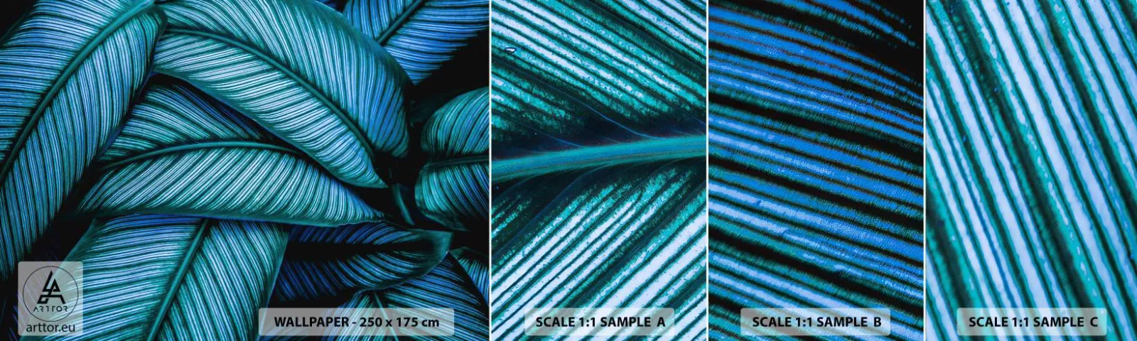 Mostră tapet autocolant Deluxe Sticker - Linii de viață - Frunze, Botanică, Plante - 100x30 cm