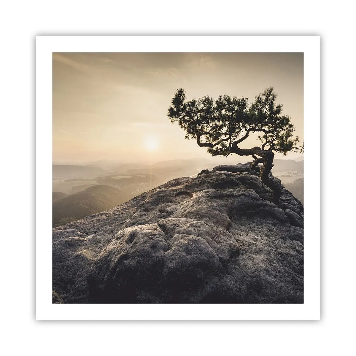 Poster - Viața învinge întotdeauna - 60x60 cm