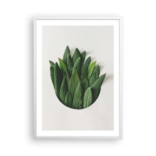 Poster în ramă albă - Curiozitatea nestăvilită - 50x70 cm