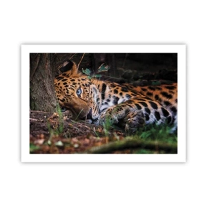 Poster - Să ai încredere în mine - 70x50 cm