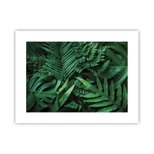 Poster - Înfășurate în verde - 40x30 cm