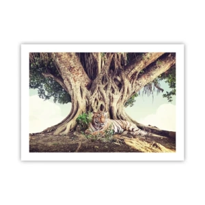 Poster - O perspectivă din Geneză - 70x50 cm
