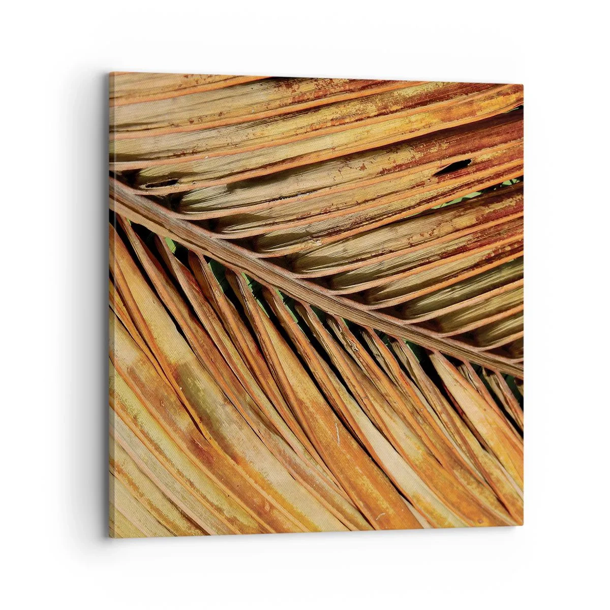 Tablou pe pânză - Aur de nucă de cocos - 70x70 cm