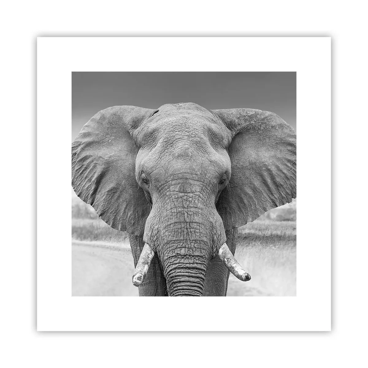 Poster - Bun venit în lumea mea - 30x30 cm