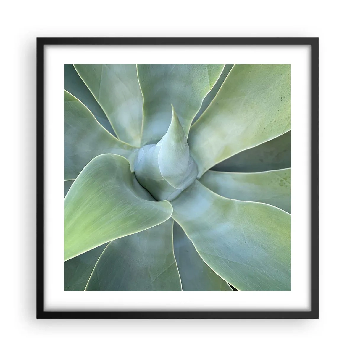 Poster în ramă neagră - Nașterea verdeții - 50x50 cm