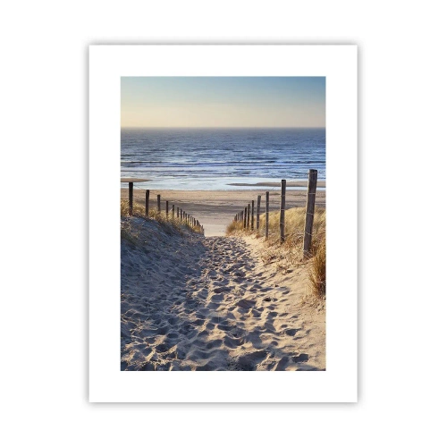 Poster - Zumzet de mare, o plajă sălbatică printre ierburi... - 30x40 cm