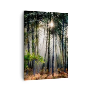 Tablou pe pânză - Pădure sălbatică - 50x70 cm