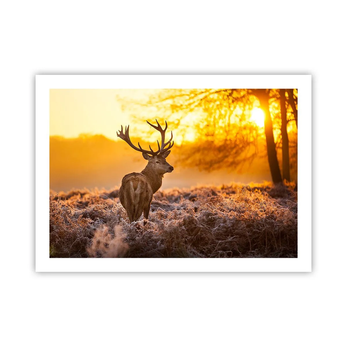 Poster - Regele pădurii de toamnă - 70x50 cm