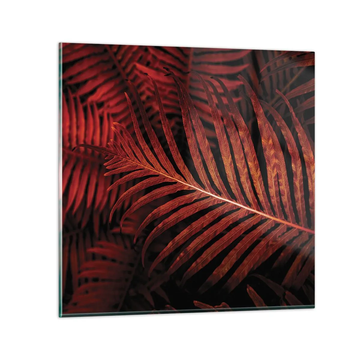 Tablou pe sticlă - Ardoarea vieții - 60x60 cm