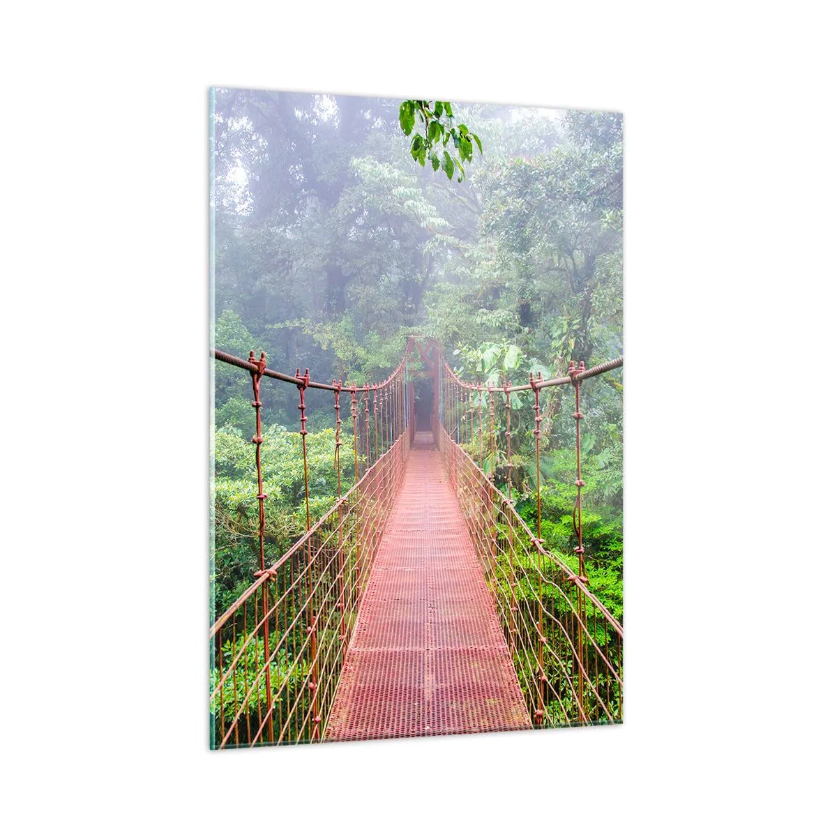 Tablou pe sticlă - Suspendat deasupra coroanelor arborilor - 50x70 cm
