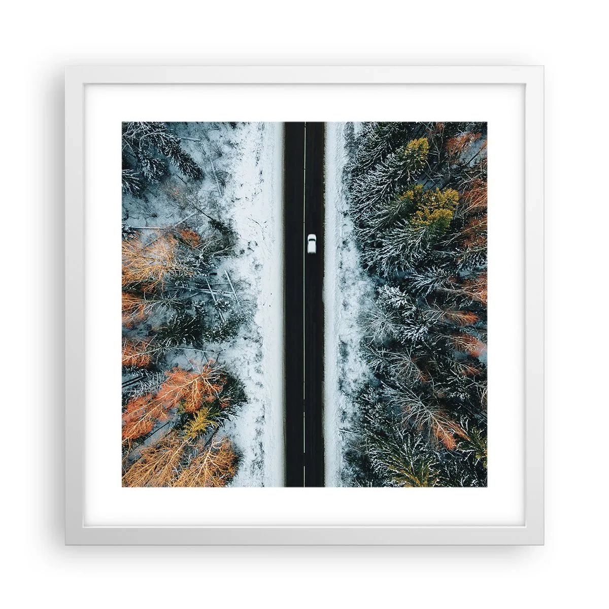 Poster în ramă albă - Prin pădurea de iarnă - 40x40 cm