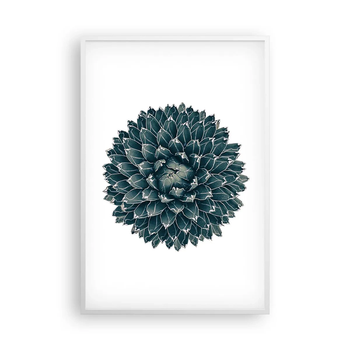 Poster în ramă albă - Steaua deșertului - 61x91 cm