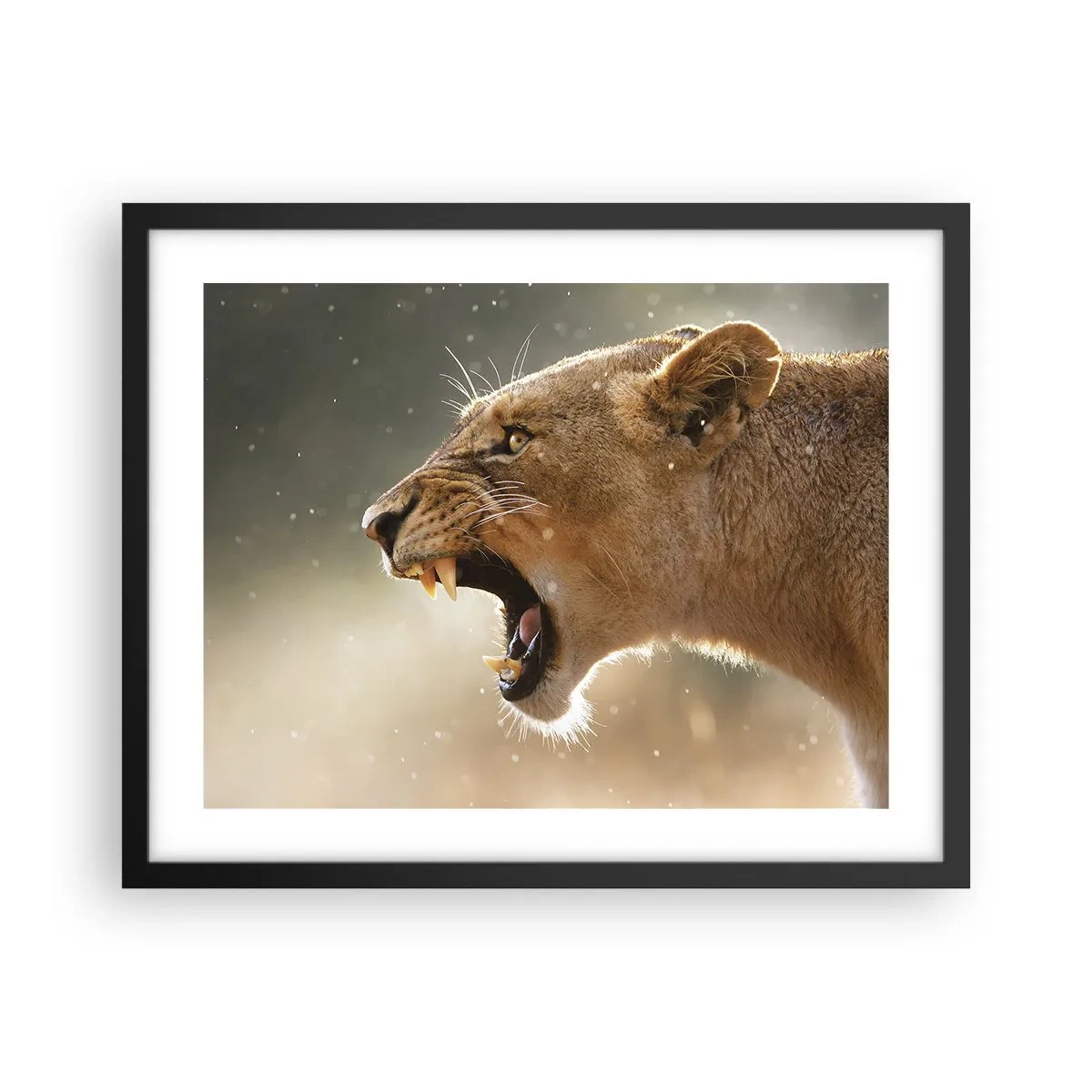 Poster în ramă neagră - Încearcă să nu asculți - 50x40 cm