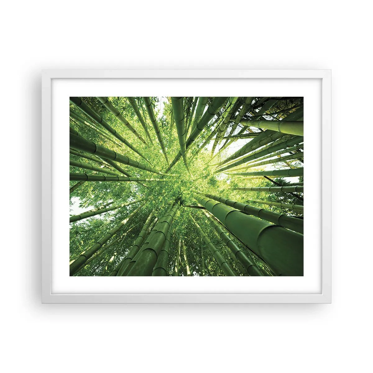 Poster în ramă albă - Într-o pădure de bambus - 50x40 cm