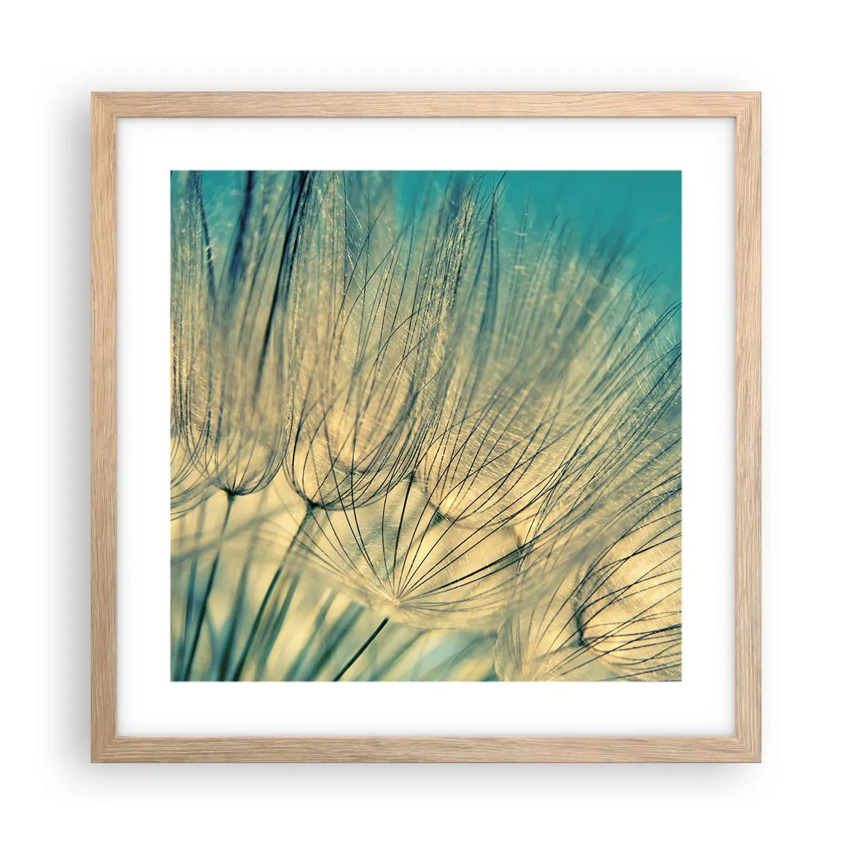 Poster în ramă de stejar deschis - Așteptând vântul - 40x40 cm