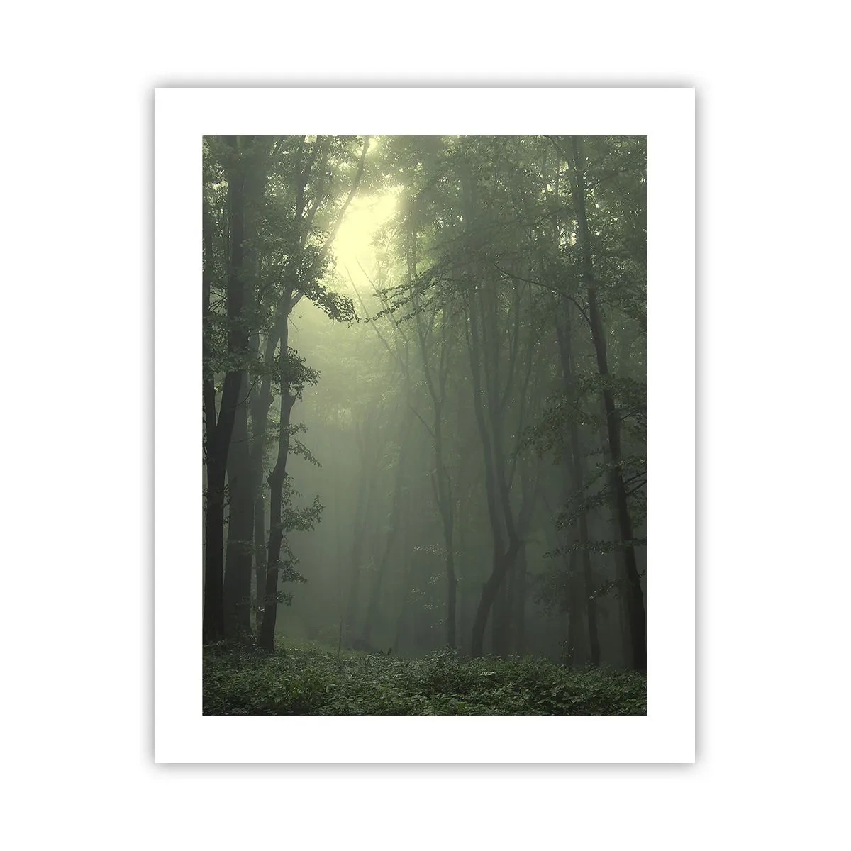 Poster - Înainte să se trezească - 40x50 cm