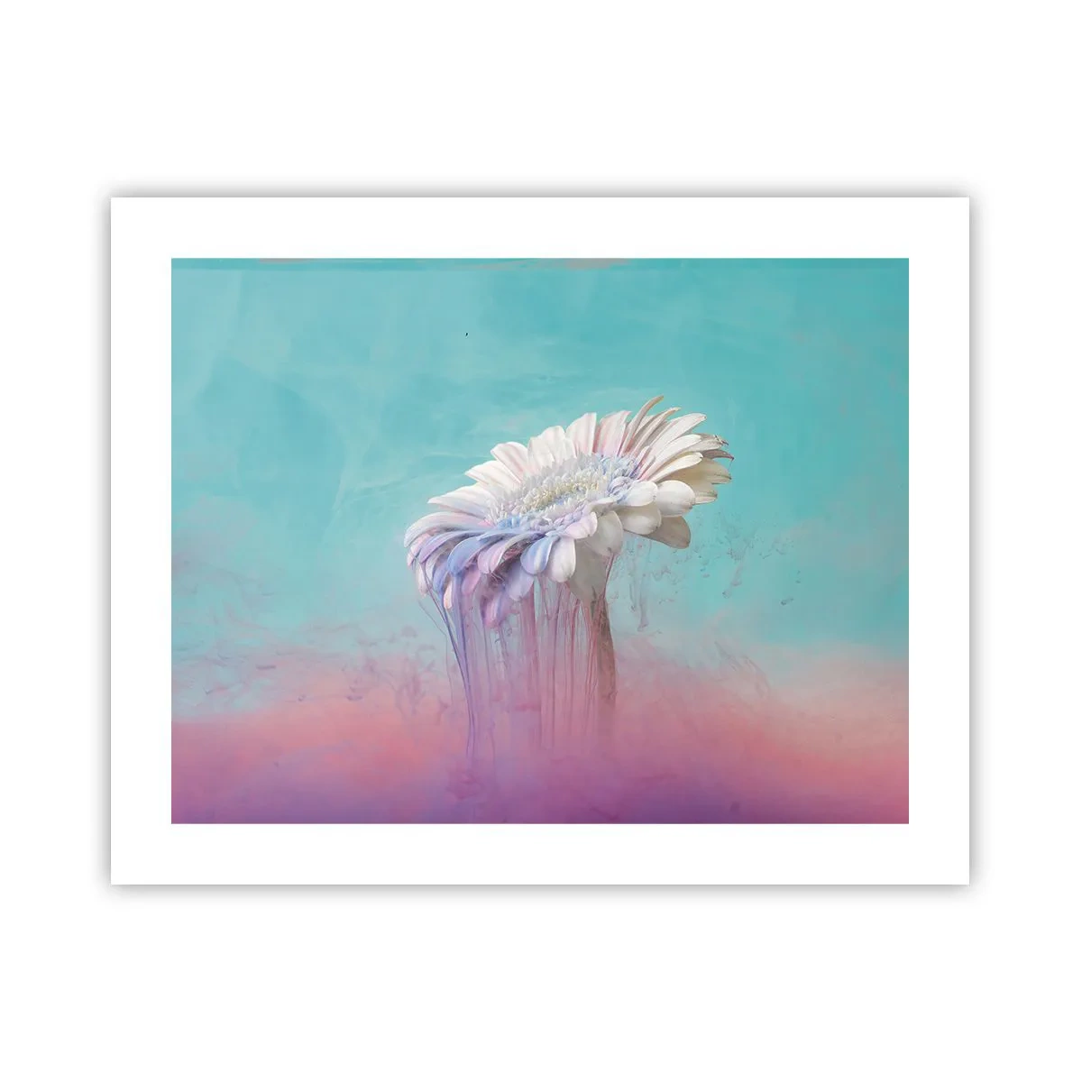 Poster - Viața de după flori - 50x40 cm