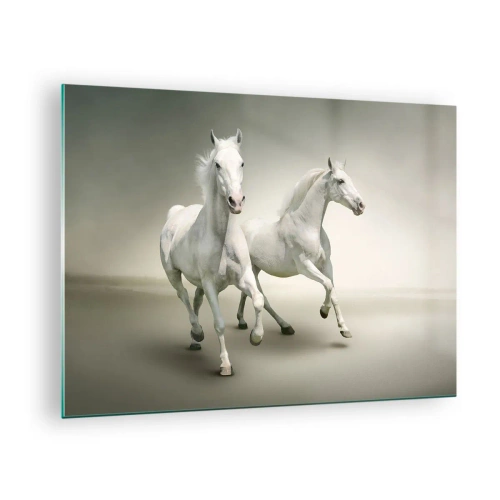 Tablou pe sticlă - Doi cai albi alergând pe un fundal luminos - 70x50cm - White power! - Decorațiune modernă pentru perete pentru living și dormitor ARTTOR