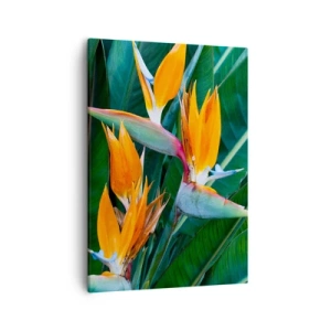 Tablou pe pânză - Este o floare sau o pasăre? - 50x70 cm