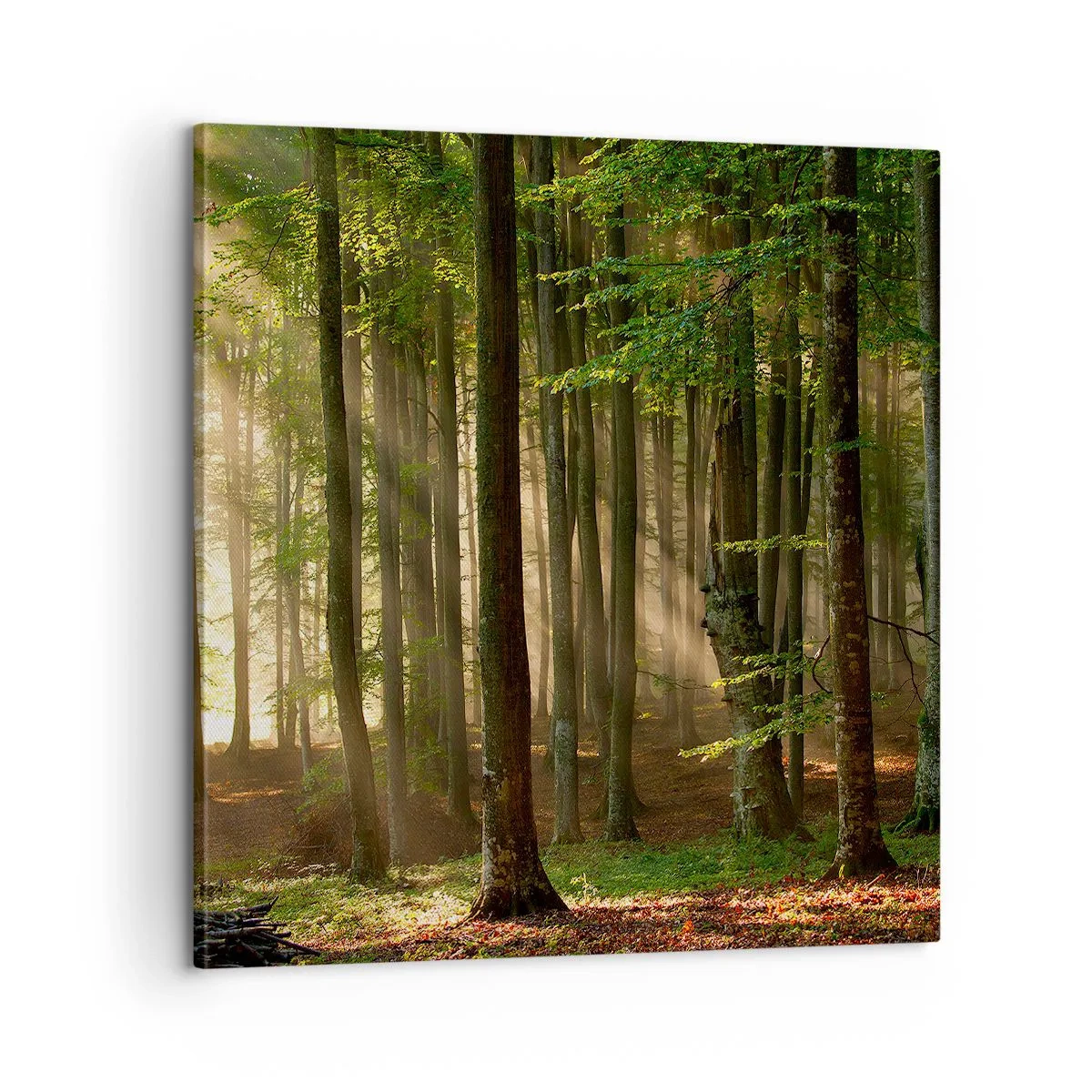 Tablou pe pânză - Strălucitoare într-o dimineață de primăvară - 60x60 cm