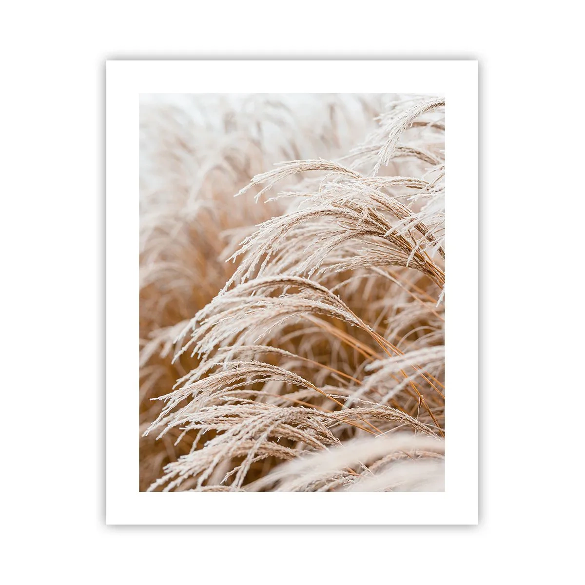 Poster - Închinându-se la soarele toamnei - 40x50 cm