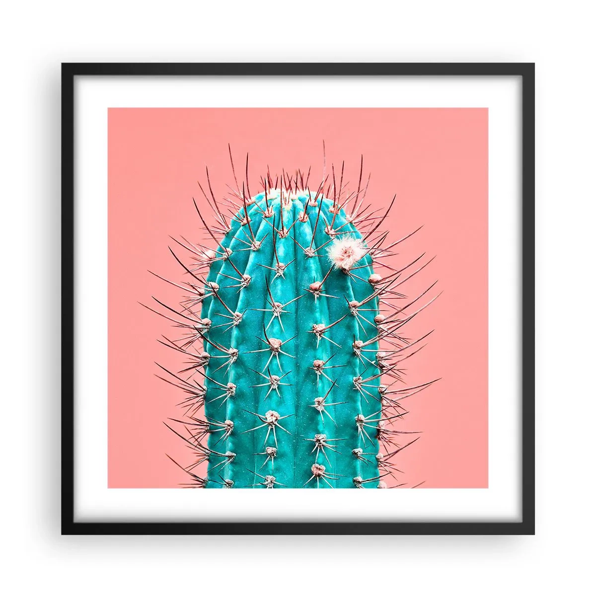 Poster în ramă neagră - Doar privește - 50x50 cm