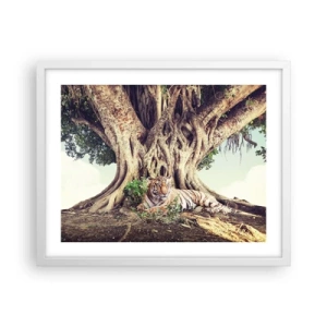 Poster în ramă albă - O perspectivă din Geneză - 50x40 cm