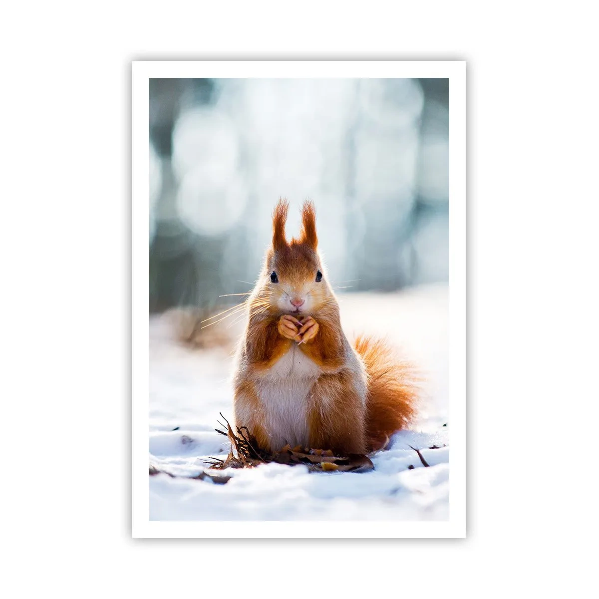 Poster - Și la ce te uiți? - 70x100 cm