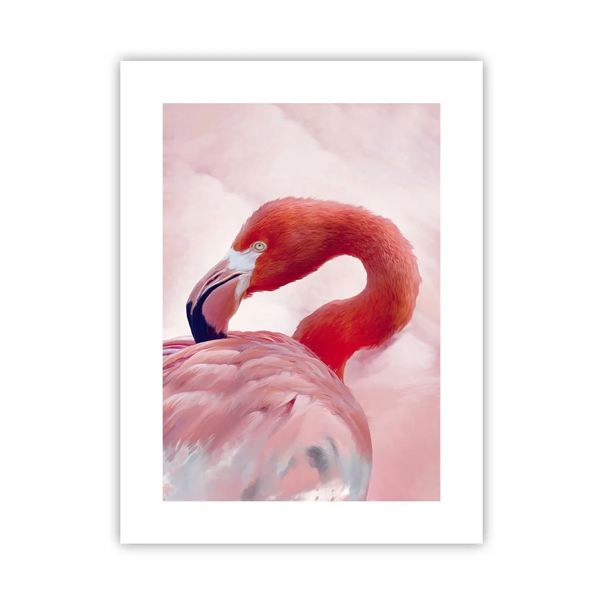 Poster - Frumusețea păsărilor - 30x40 cm