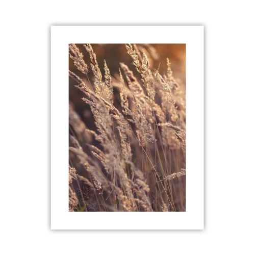 Poster - Gata să întâmpine toamna - 30x40 cm