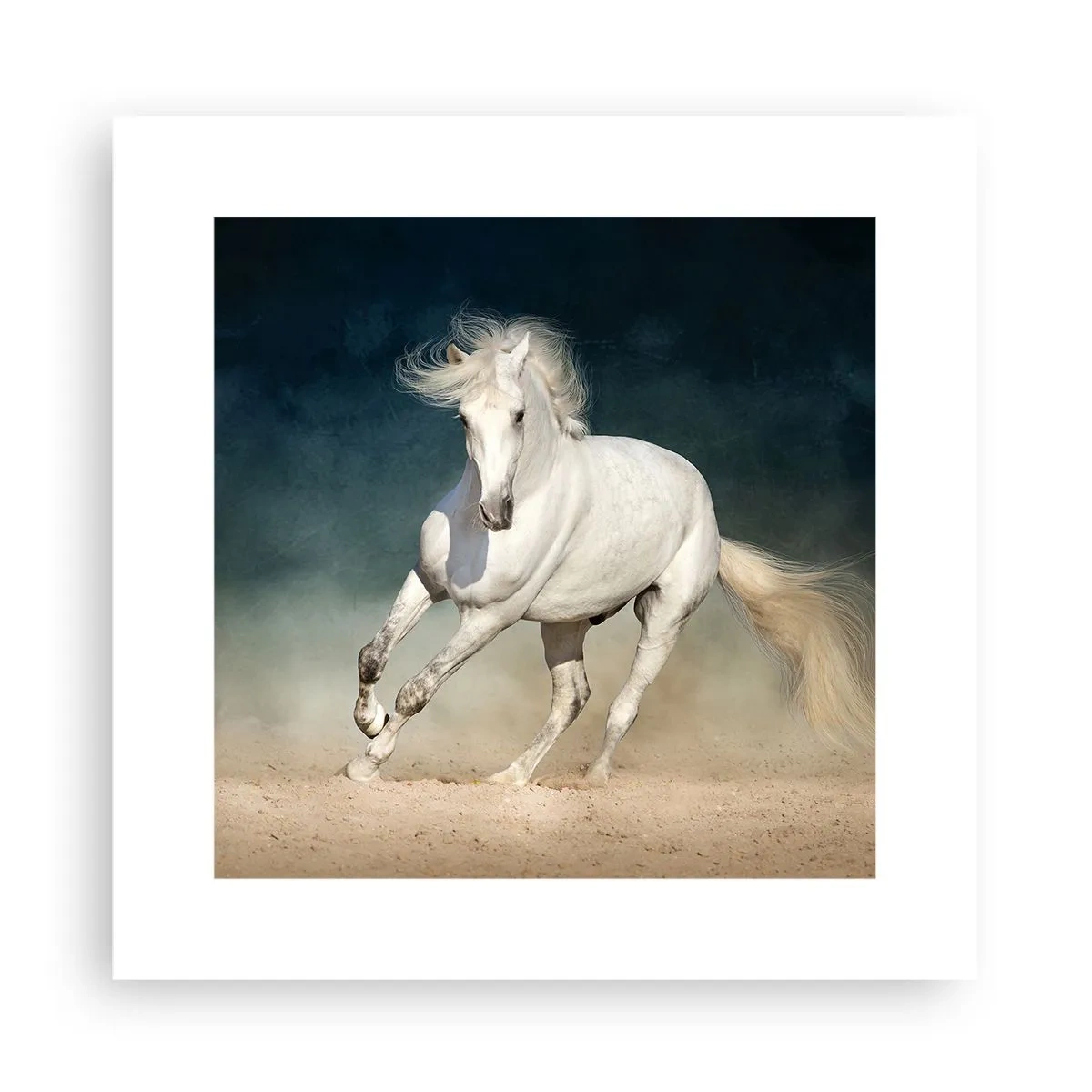 Poster - Libertate în stare pură - 30x30 cm