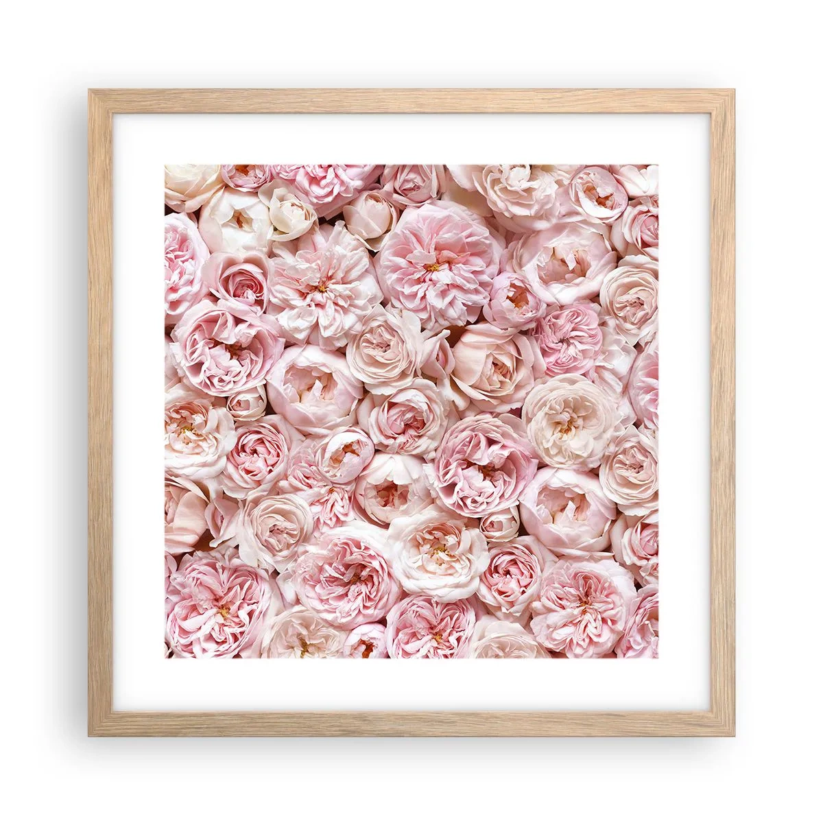 Poster în ramă de stejar deschis - Presărat cu trandafiri - 40x40 cm