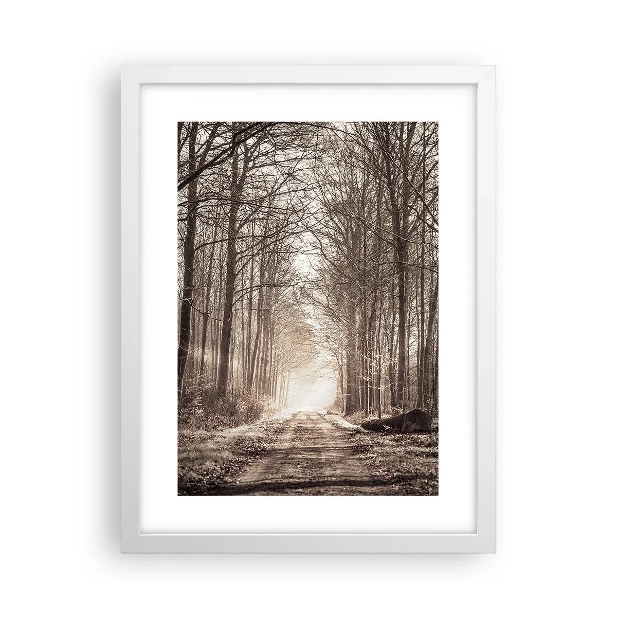 Poster în ramă albă - Catedrala Forestieră - 30x40 cm