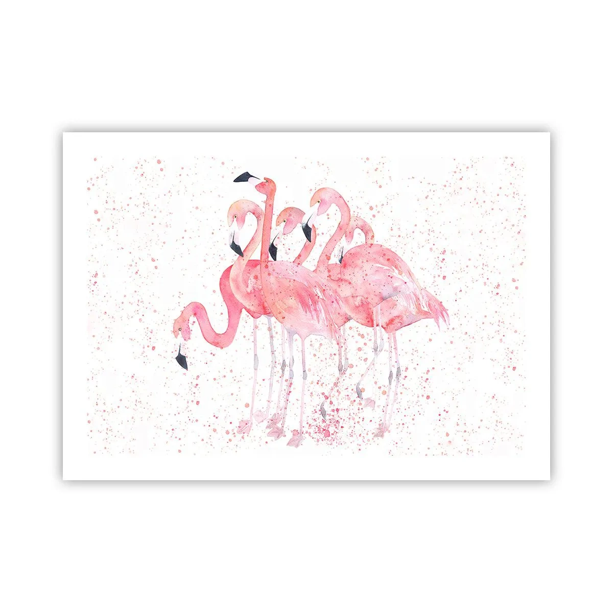 Poster - Ansamblul roz - 70x50 cm