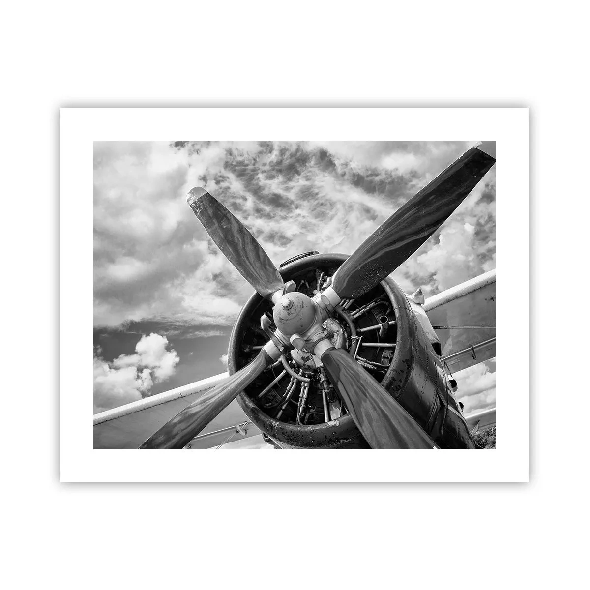 Poster - Cuceritorul cerului - 50x40 cm