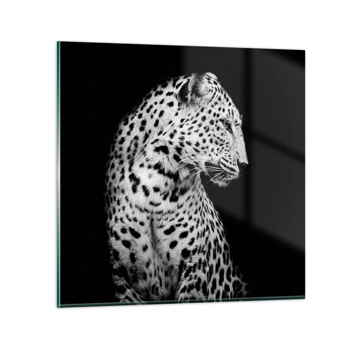 Tablou pe sticlă - Profilul drept perfect! - 50x50 cm