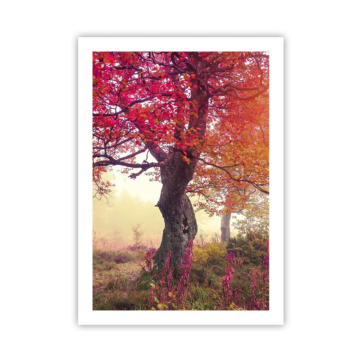 Poster - O frenezie de înflorire - 50x70 cm