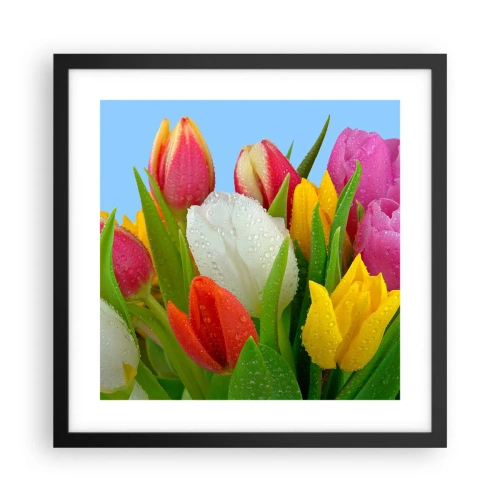 Poster în ramă neagră - Un curcubeu floral în picături de rouă - 40x40 cm