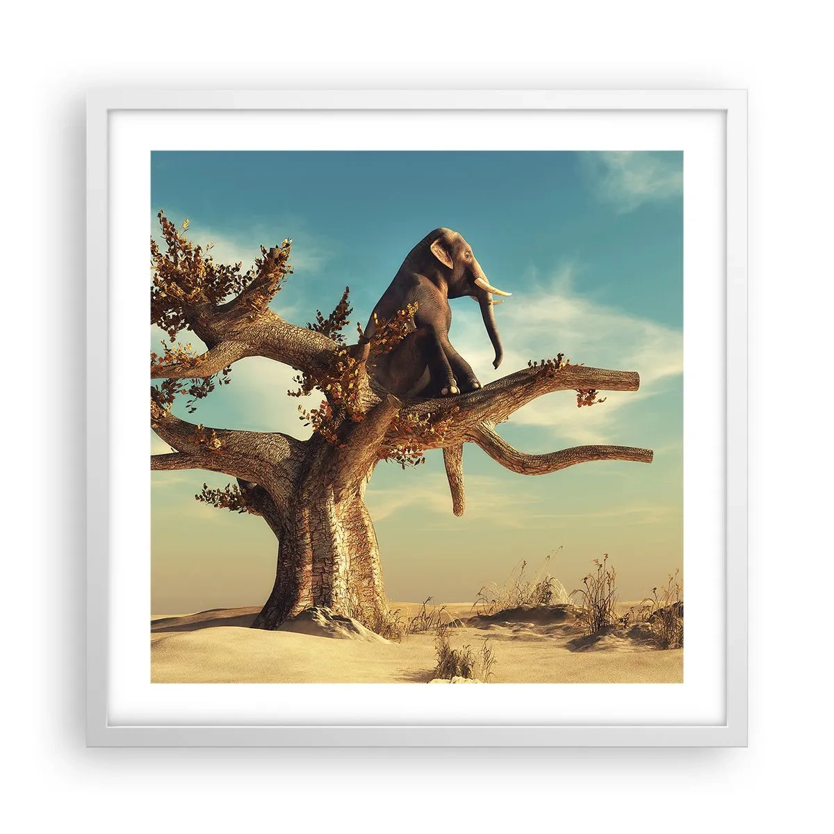 Poster în ramă albă - Un nou punct de vedere - 50x50 cm