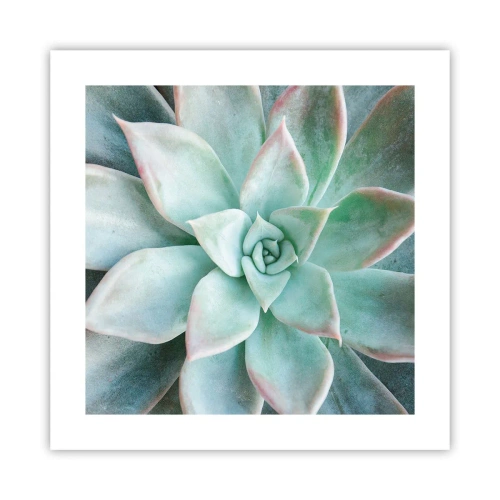 Poster - Inima deșertului - 40x40 cm