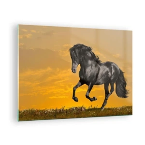 Tablou pe sticlă - Un cal negru galopând pe fondul soarelui apus - 70x50cm - Frumos, liber și sălbatic - Decorațiune modernă pentru perete pentru living și dormitor ARTTOR