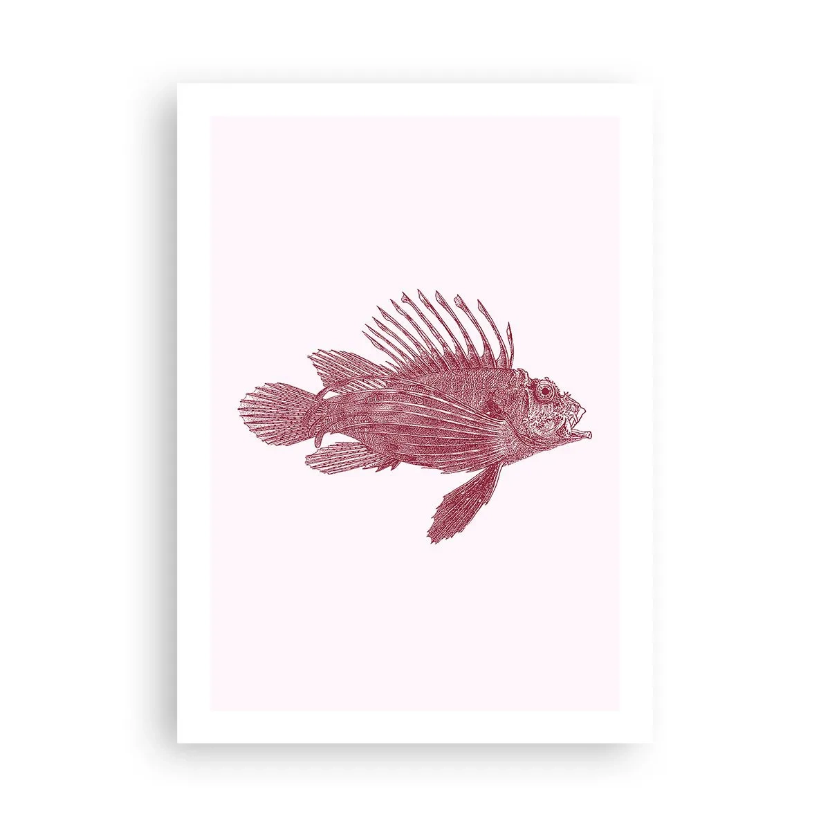 Poster - Un locuitor al apelor exotice - 50x70 cm