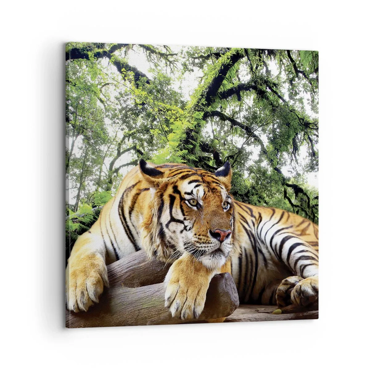 Tablou pe pânză - Cu respect - 60x60 cm