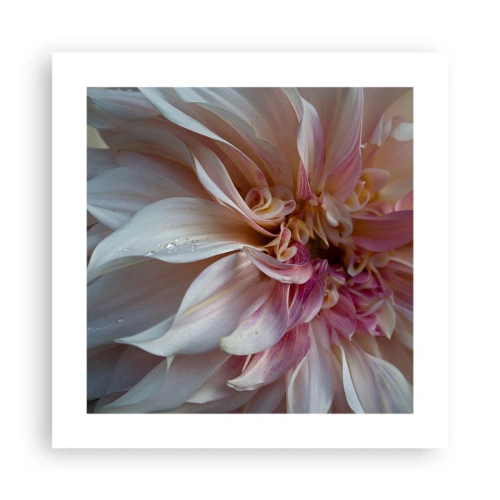 Poster - Prospețime înfloritoare - 40x40 cm